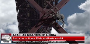 Image Aranhas gigantes em Lisboa!