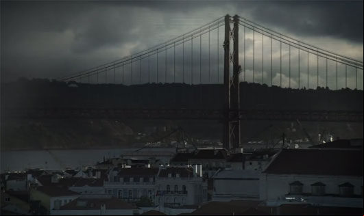Aranhas gigantes em Lisboa!
