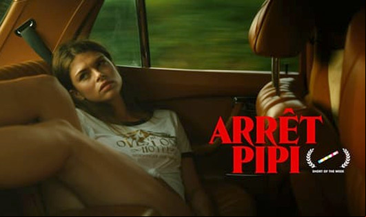 Arrêt Pipi