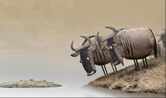 Wildebeest - Don’t Argue With Idiots