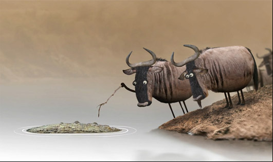 Wildebeest - Don’t Argue With Idiots