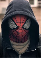 Affiche Marvel Knights : Spider-Man 