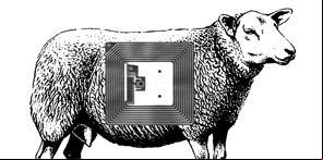 Image Mouton 2.0 – la puce…