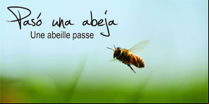 Image Paso una Abeja