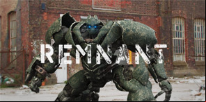 Image Remnant