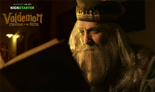 Voldemort : Origins of the Heir