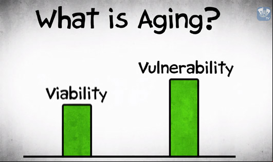 What is aging ? - Pourquoi vieillissons-nous ?