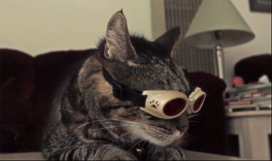X-Men Origins : Cat